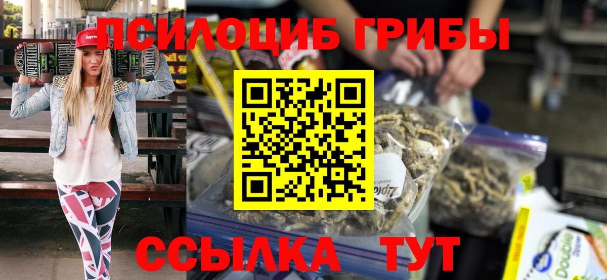 Псилоцибиновые грибы GOLDEN TEACHER Тверь