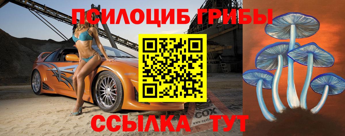 Псилоцибиновые грибы GOLDEN TEACHER  где купить   Вход с VPN  Тверь  Псилоцибиновые грибы мицелий 